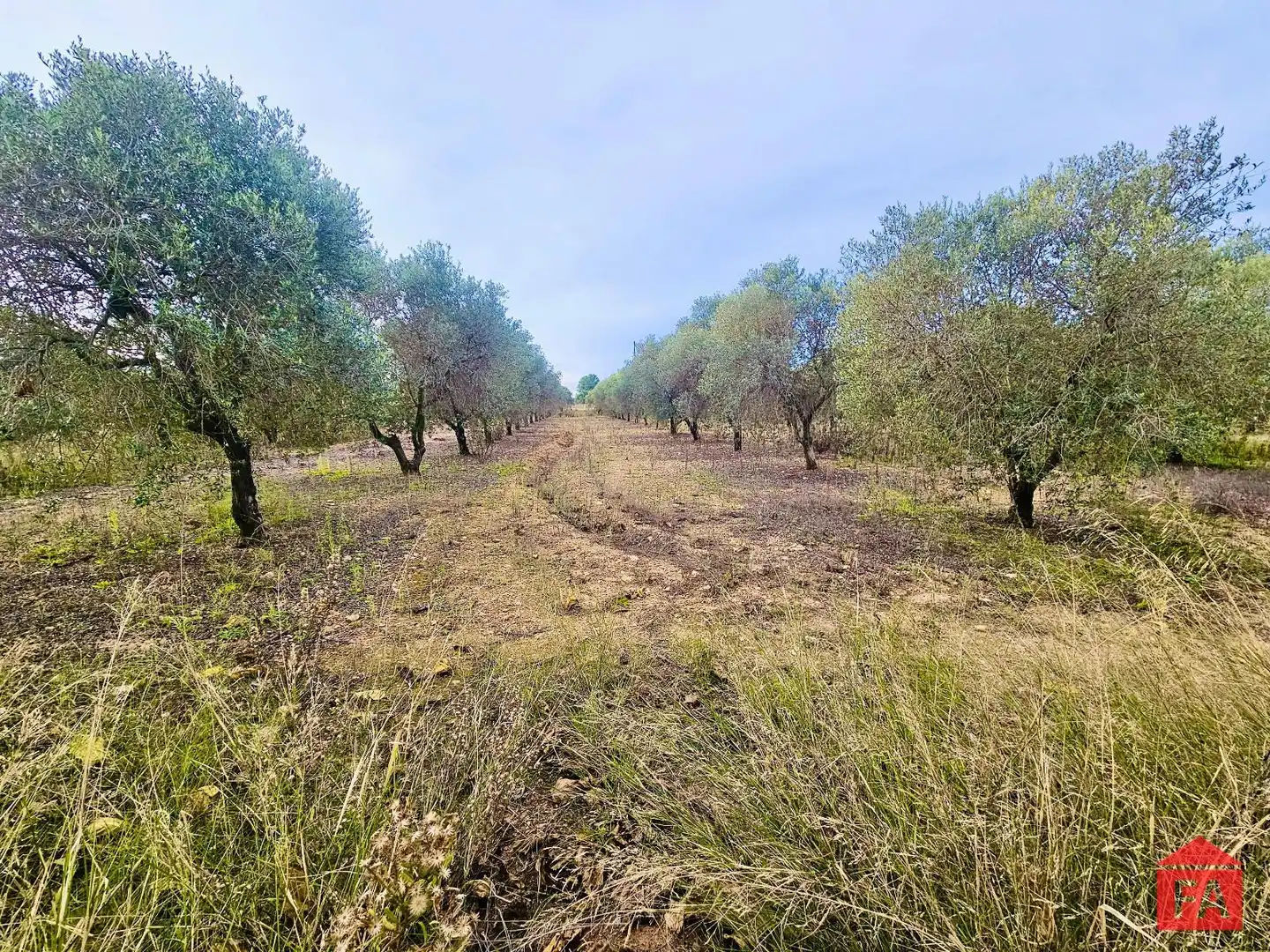 Finca rústica en venta en Santa Oliva con Trastero y Piscina
