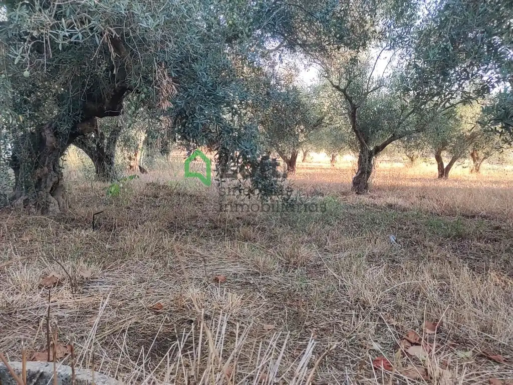 Terreno rustico in vendita a Pedanías de Badajoz, imagen 11