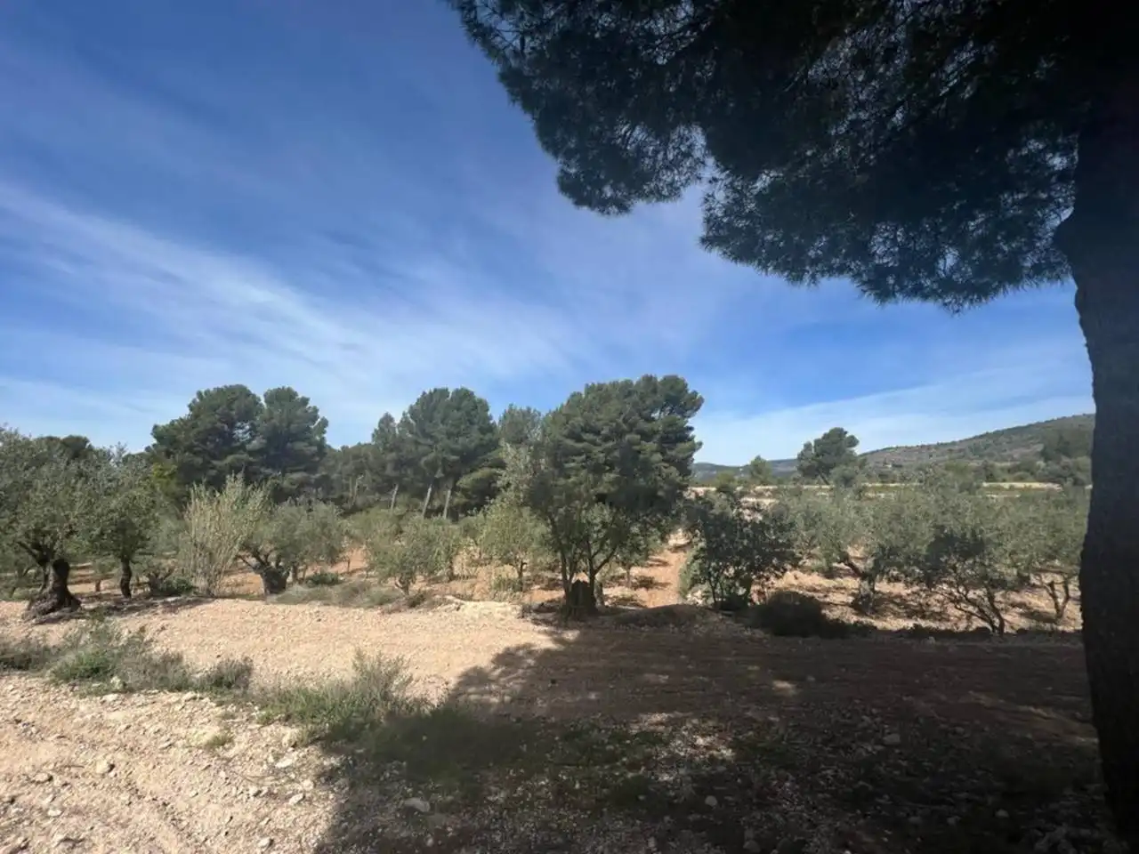 Chalet con jardín en venta en Calle Poligono, imagen 136