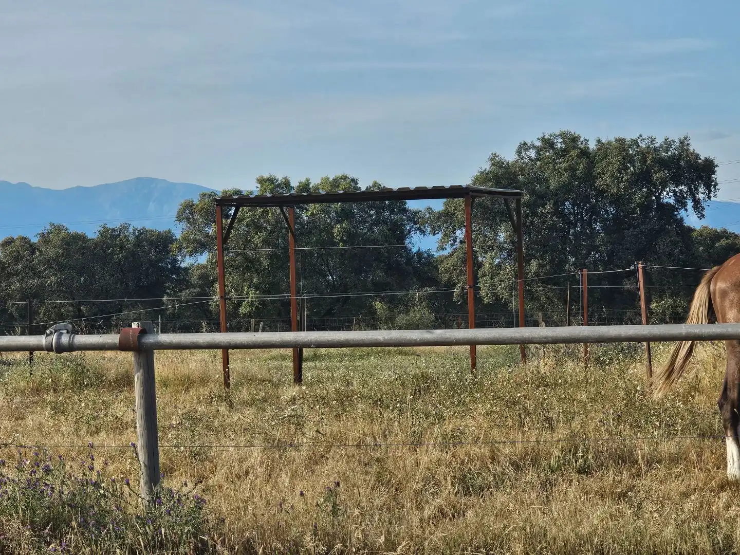 Terreno en venta en Navalmoral de la Mata