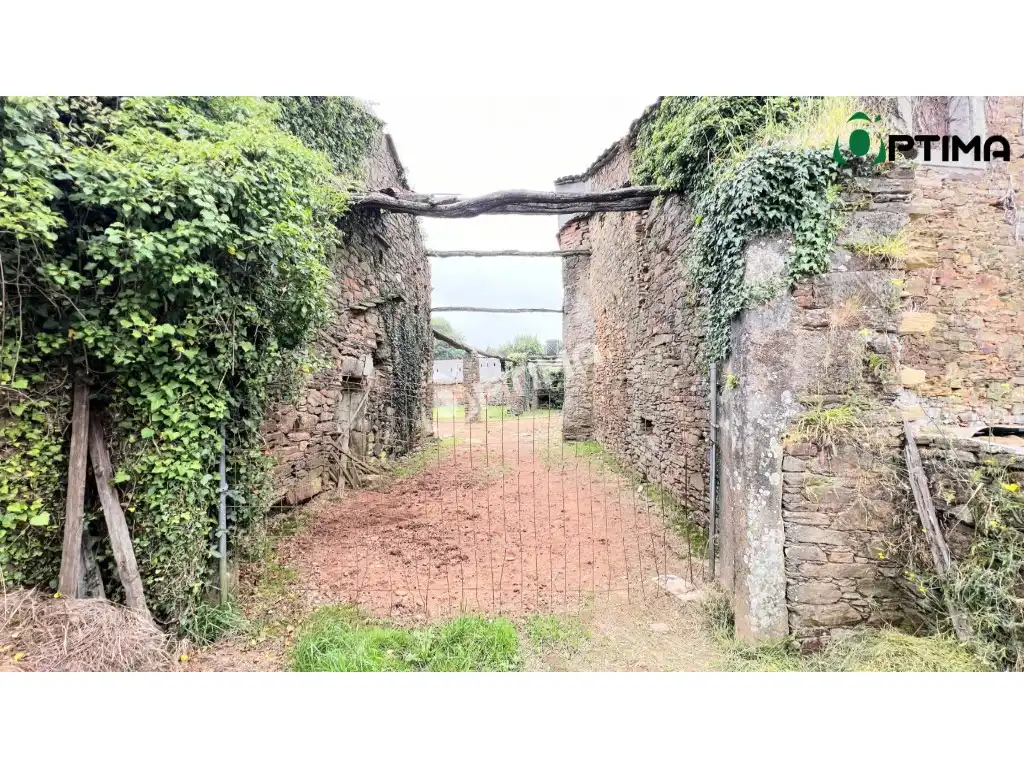Casa en venta en Campus Norte - San Caetano, imagen 5
