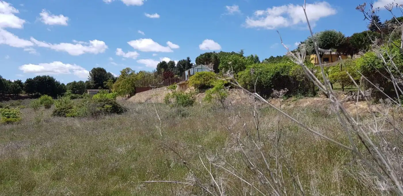 Terreno rustico in vendita a Allende el Río
