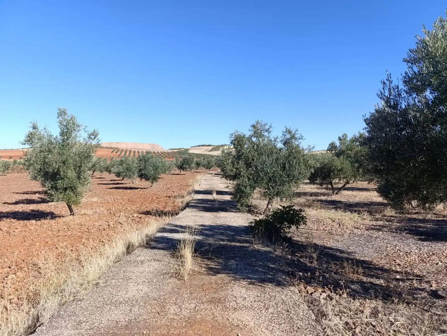 Casa rústica en venda a Valdepeñas, imagen 26