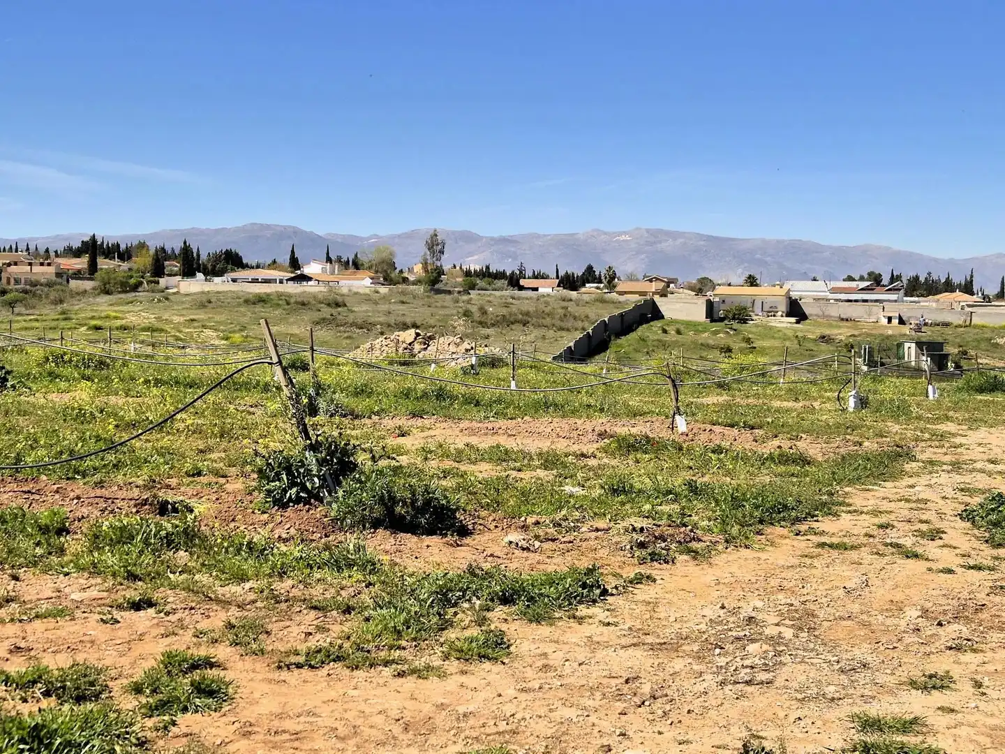 Terreny rústic en venda a Moraleda de Zafayona, imagen 26