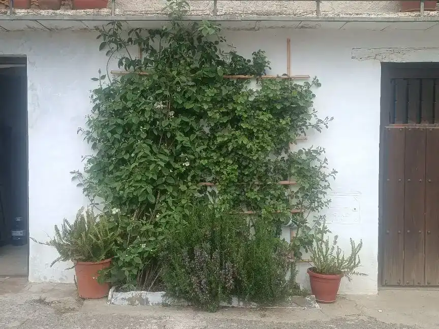 Jardí de Casa adosada en venda en La Taha amb Aire condicionat, Traster i Balcó