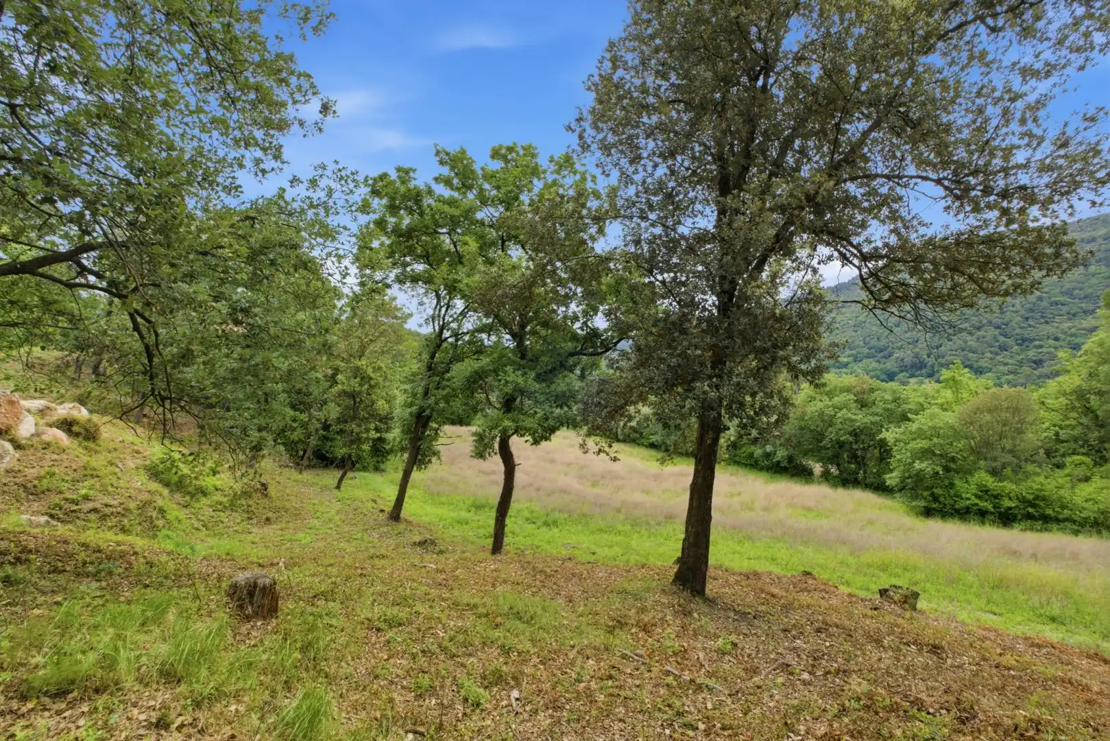 Residential land for sale in 120A,  Avinguda de Catalunya, imagen 18