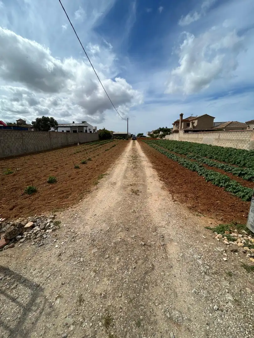 Houses for sale in Chiclana de la Frontera