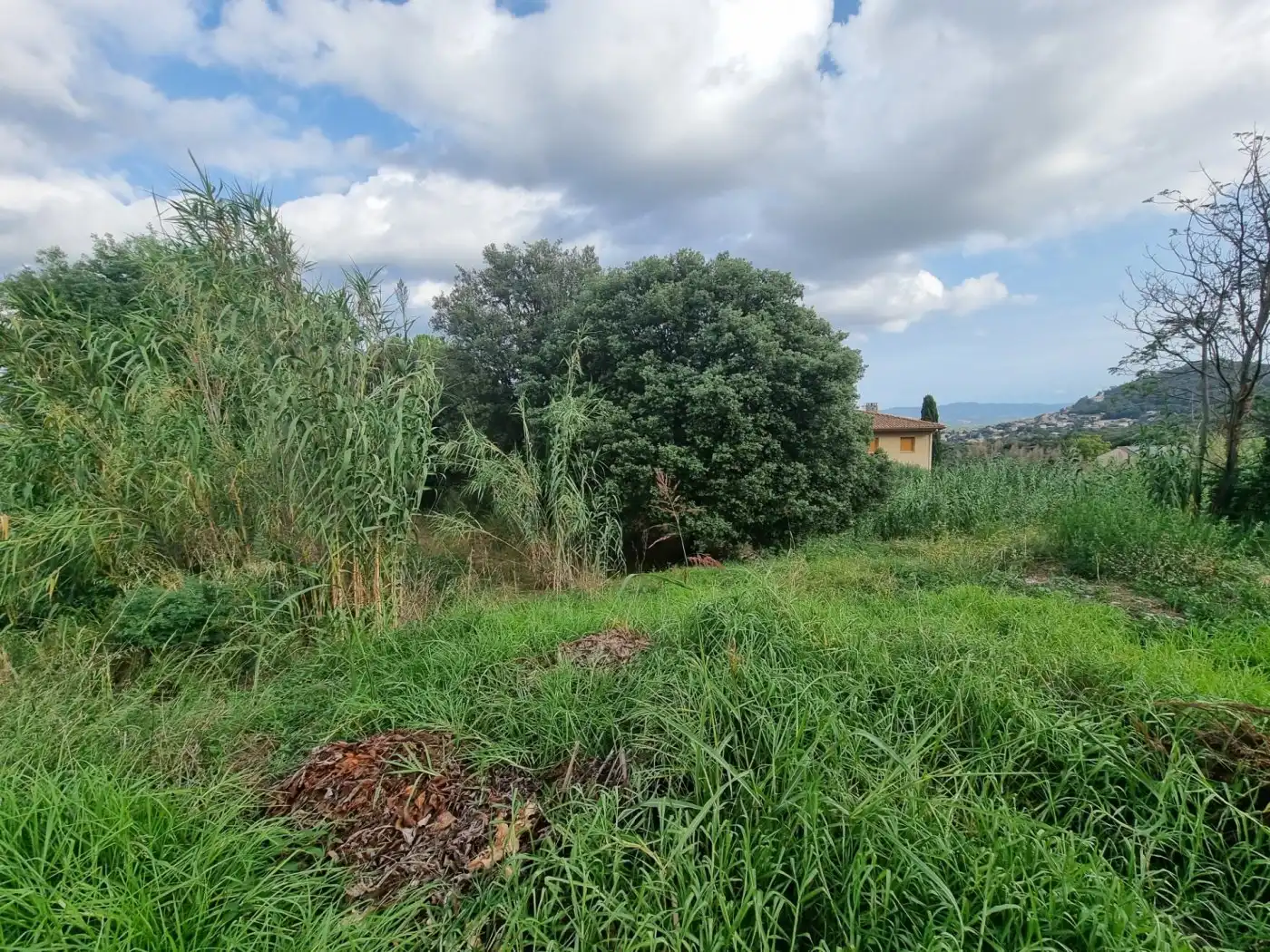 Lands and plots for sale in Calle BAGES, imagen 11