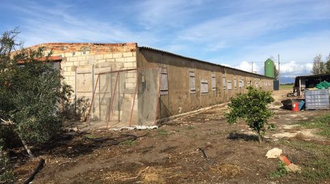 Photo 5 of Industrial buildings for sale in Eucaliptus - Poble Nou del Delta, Amposta
