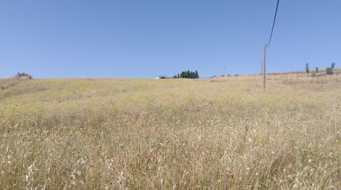 Foto 4 de Finca rústica en venda a Partidas Sur, Málaga