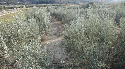 Finca Rúst. en venta en Polígonos., image 3