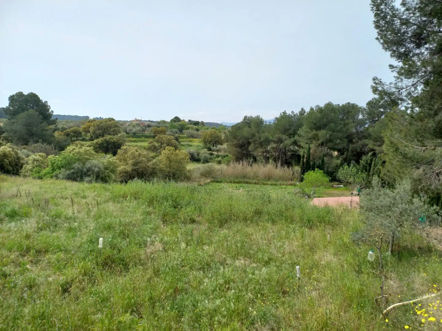 Rural land for sale in Ginestar, imagen 27