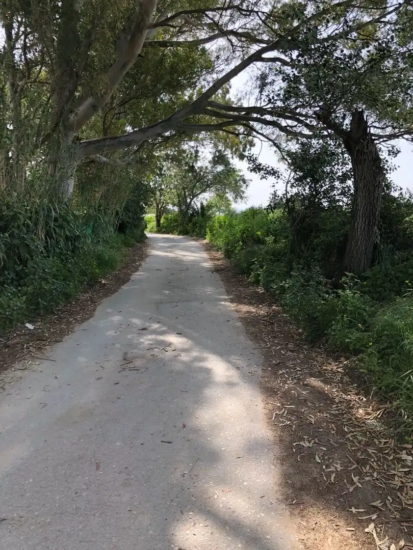 Terreni e lotti in vendita a Barbate ciudad, imagen 4