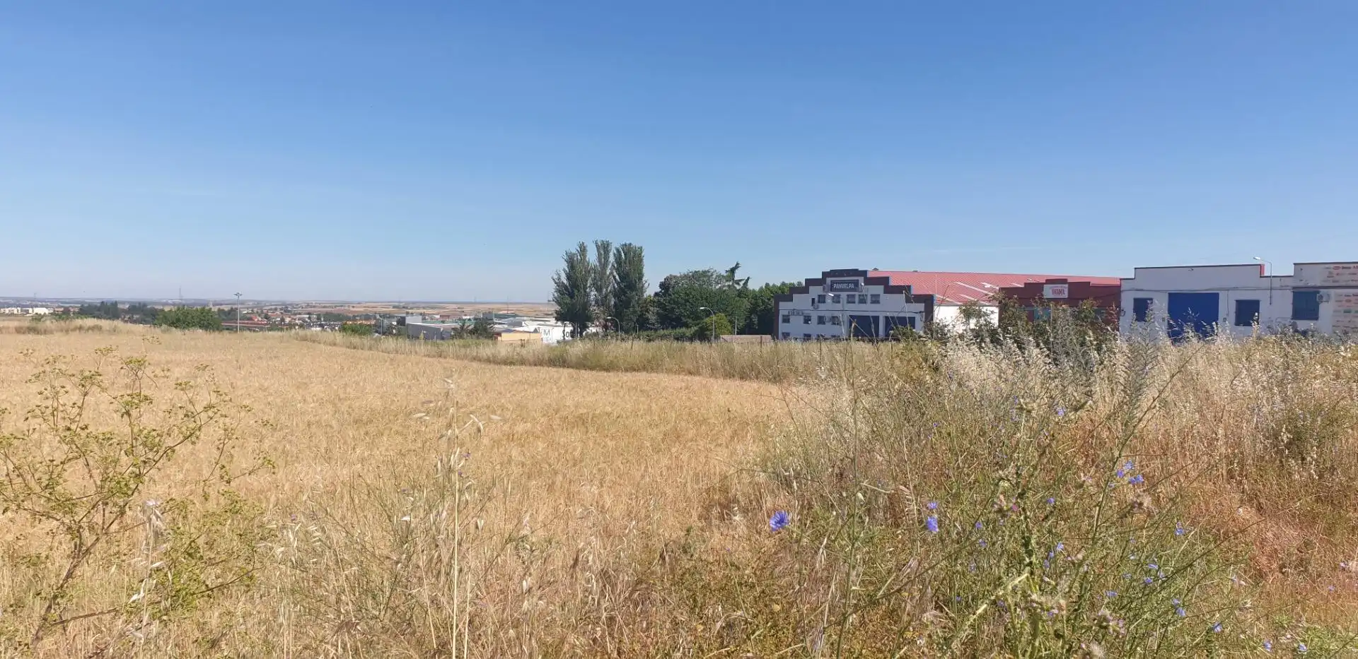 Rural land for sale in Villares de la Reina, imagen 5