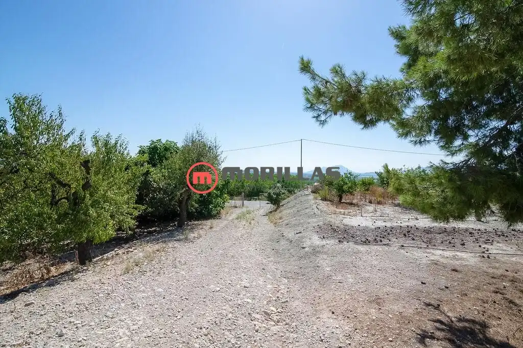Lands and plots for sale in Carretera de Abanilla 25, imagen 19
