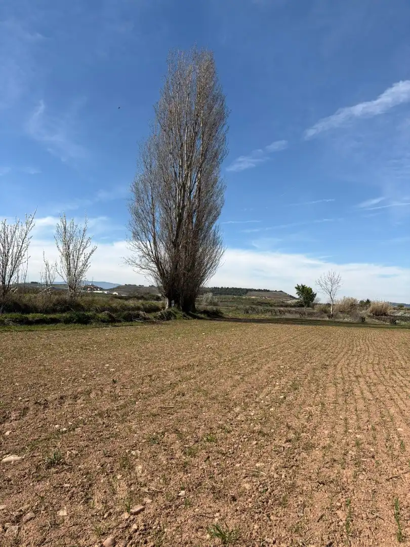 Rural land for sale in Villamediana de Iregua, imagen 6
