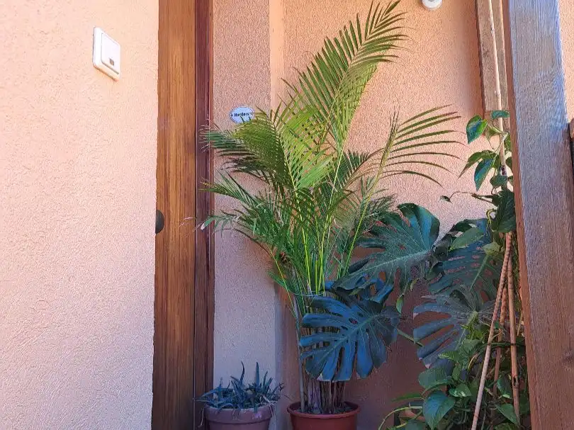 Terrasse von Wohnung zum Verkauf in Pedreguer mit Klimaanlage, Heizung und Terrasse