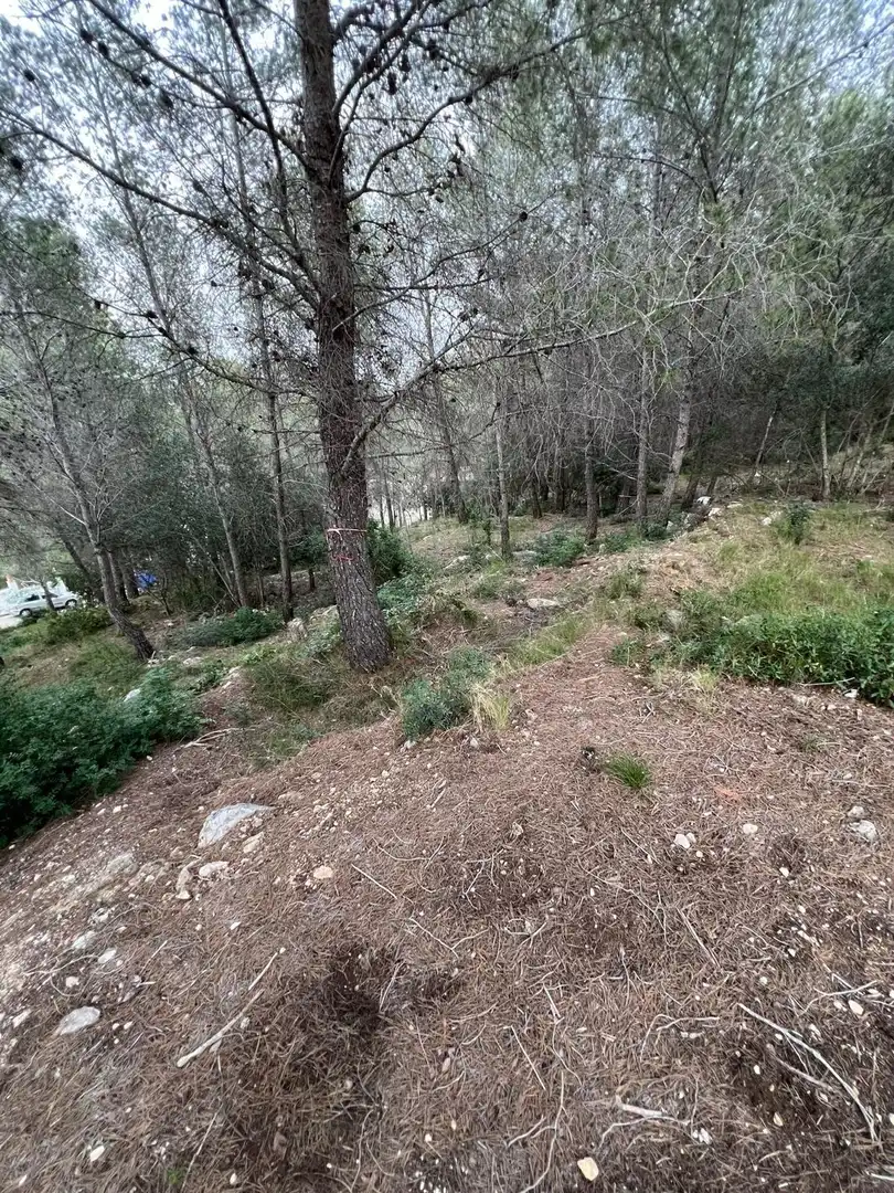 Residential land for sale in Avenida de Can Gordei 113, imagen 22