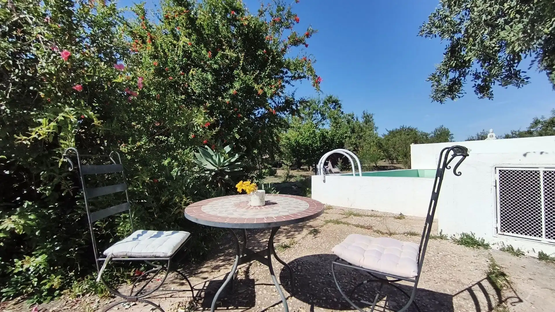 Jardín de Finca rústica en venta en Alhaurín El Grande con Piscina