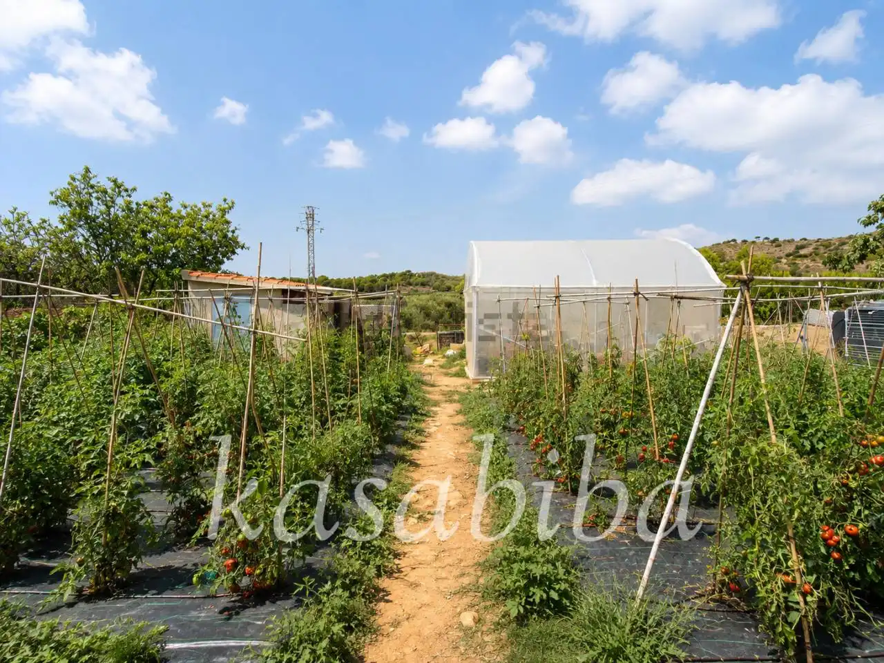 Casa o xalet en venda en Albalat dels Tarongers amb Aire condicionat, Calefacció i Jardí privat