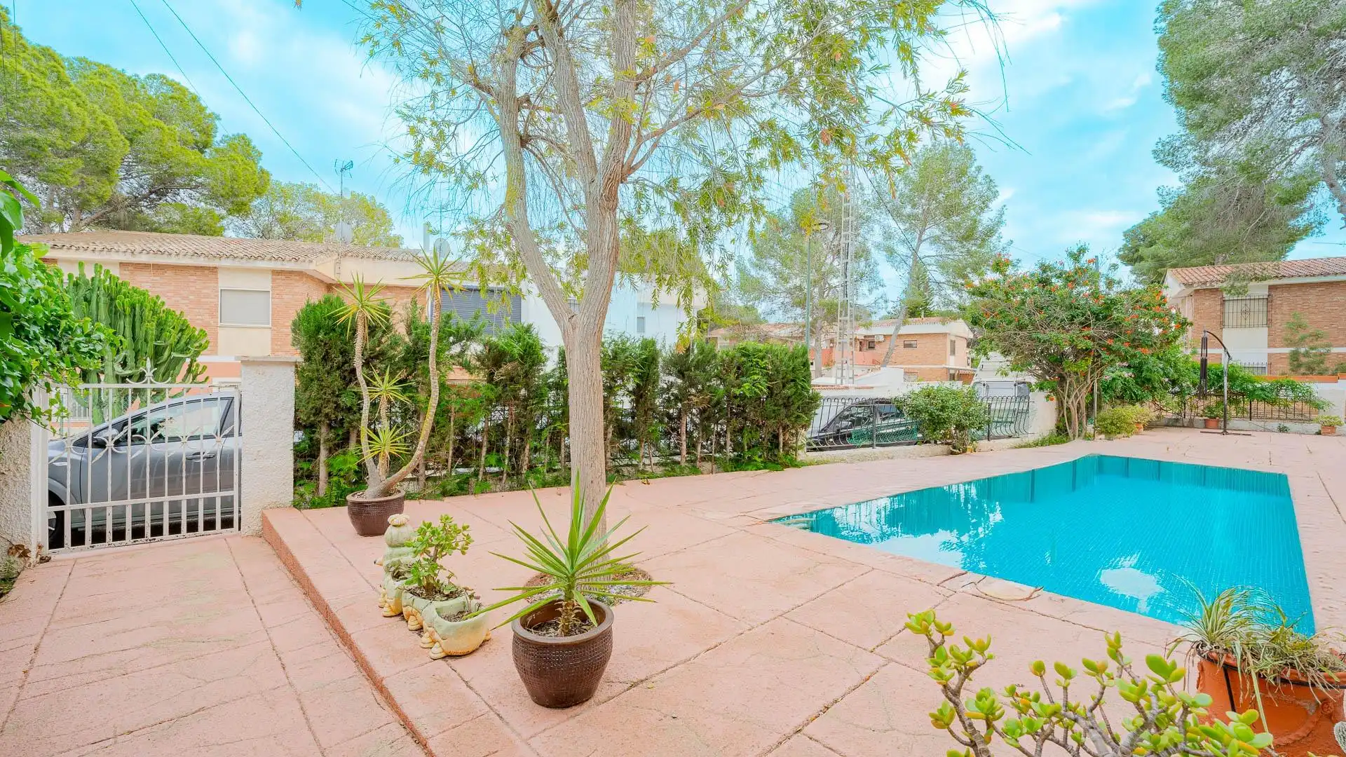 Piscina de Casa o xalet en venda en Pilar de la Horadada amb Jardí privat, Terrassa i Piscina