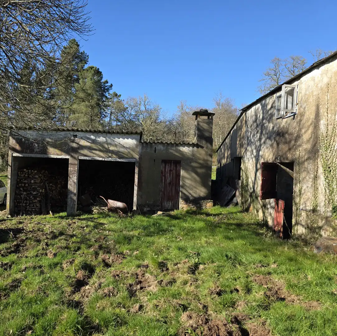 Vista exterior de Finca rústica en venta en Xermade con Jardín privado