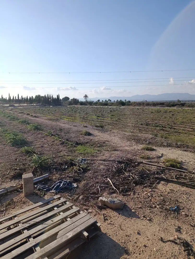 Terrain rustique à vendre à La Marina, imagen 6