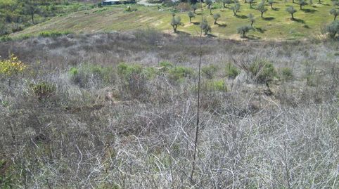 FINCA PARCELA EN VENTA EN ALORA, immagine 3