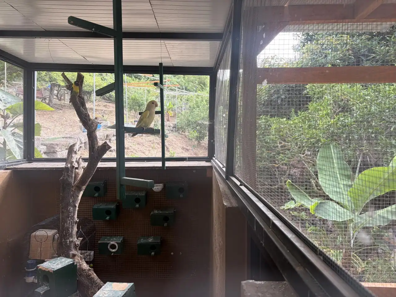 Terraza de Casa o chalet de alquiler en Firgas con Jardín privado, Terraza y Amueblado