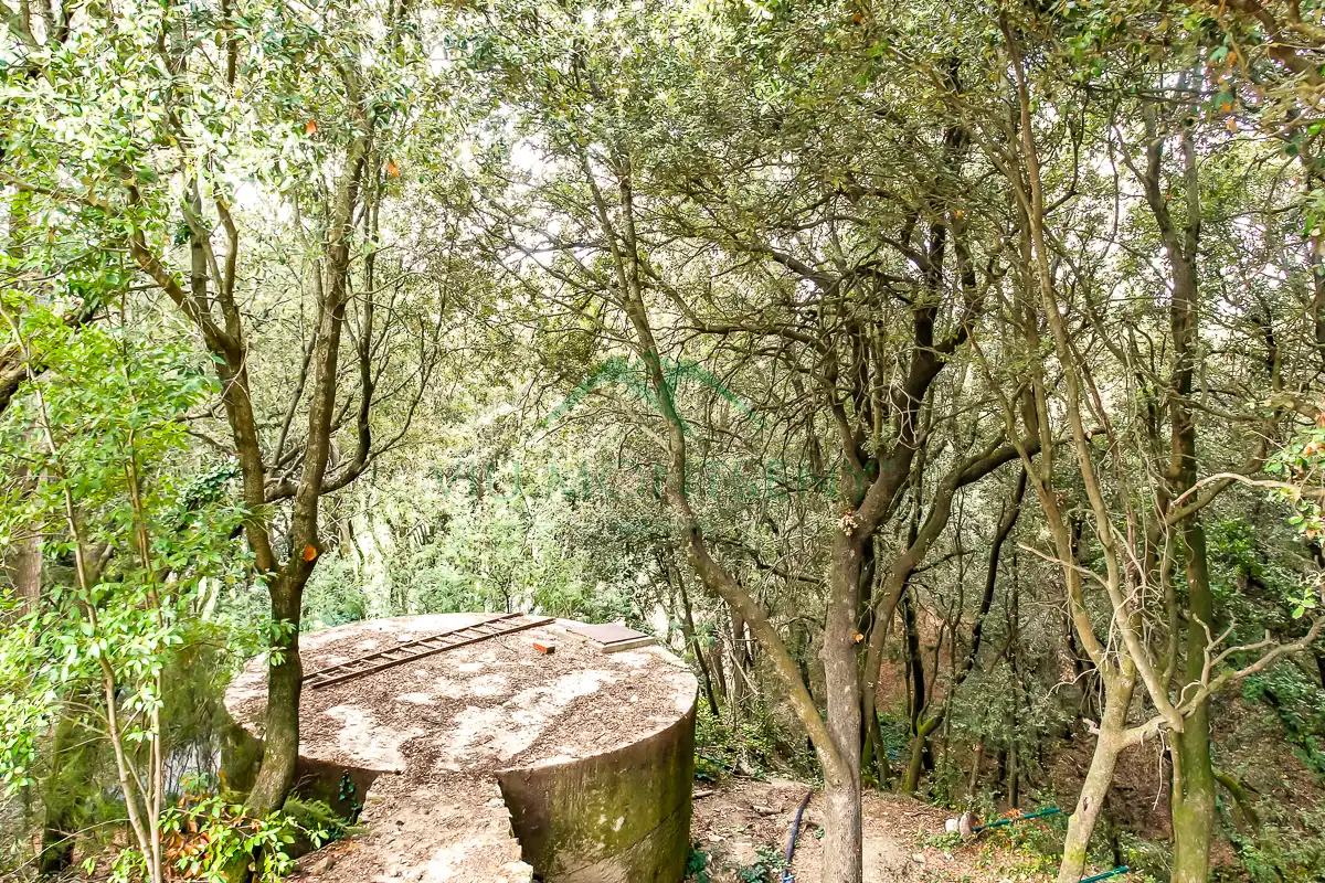 Villa avec terrasse à vendre à Montseny, imagen 54