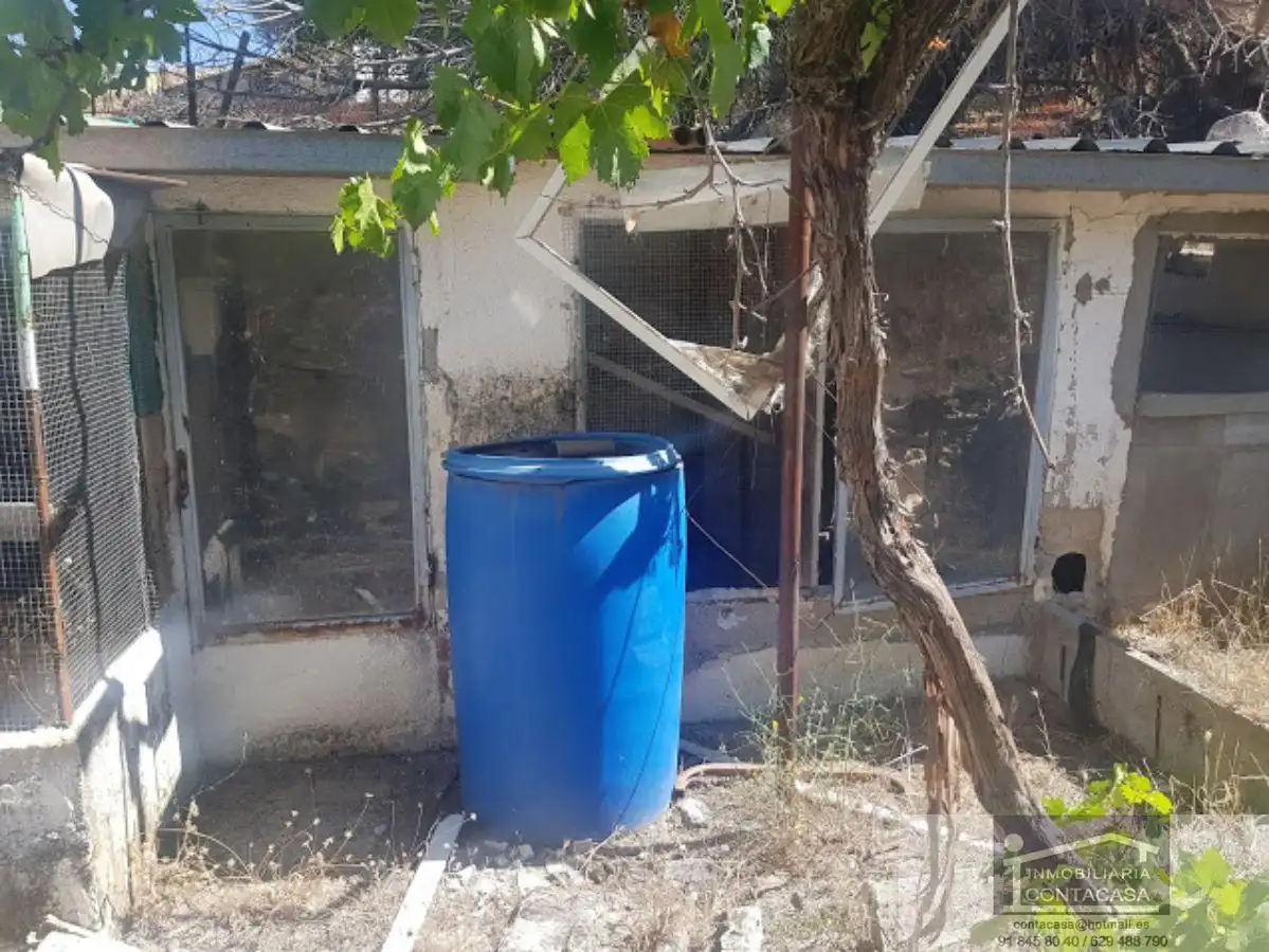 Vista exterior de Finca rústica en venta en Los Rábanos  
