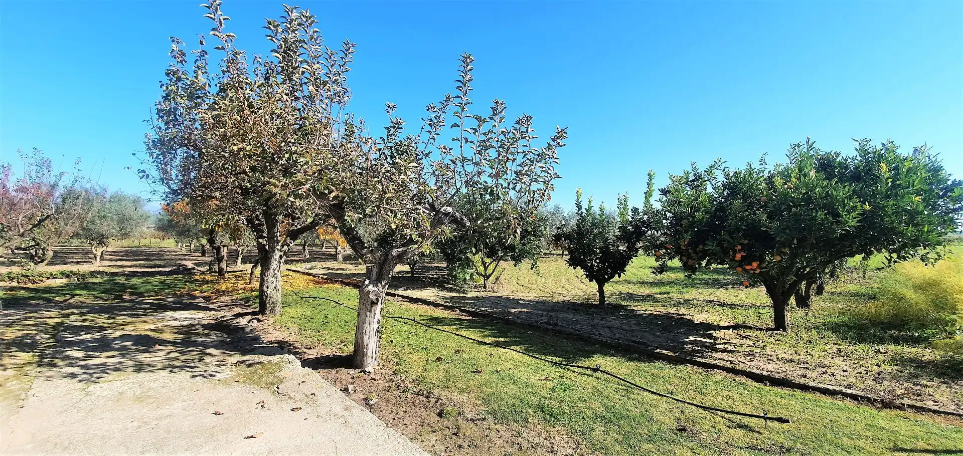 Terreni e lotti in vendita a Losar de la Vera, imagen 14
