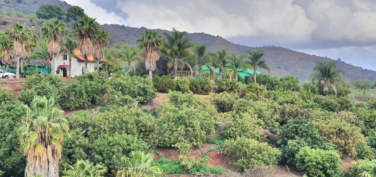 Jardí de Casa o xalet en venda en Guaro amb Aire condicionat, Jardí privat i Moblat