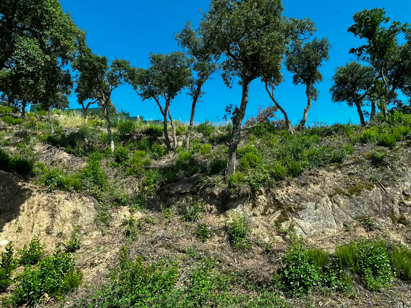 Terreno residencial en venta en Lloret Residencial - Montlloret, imagen 4