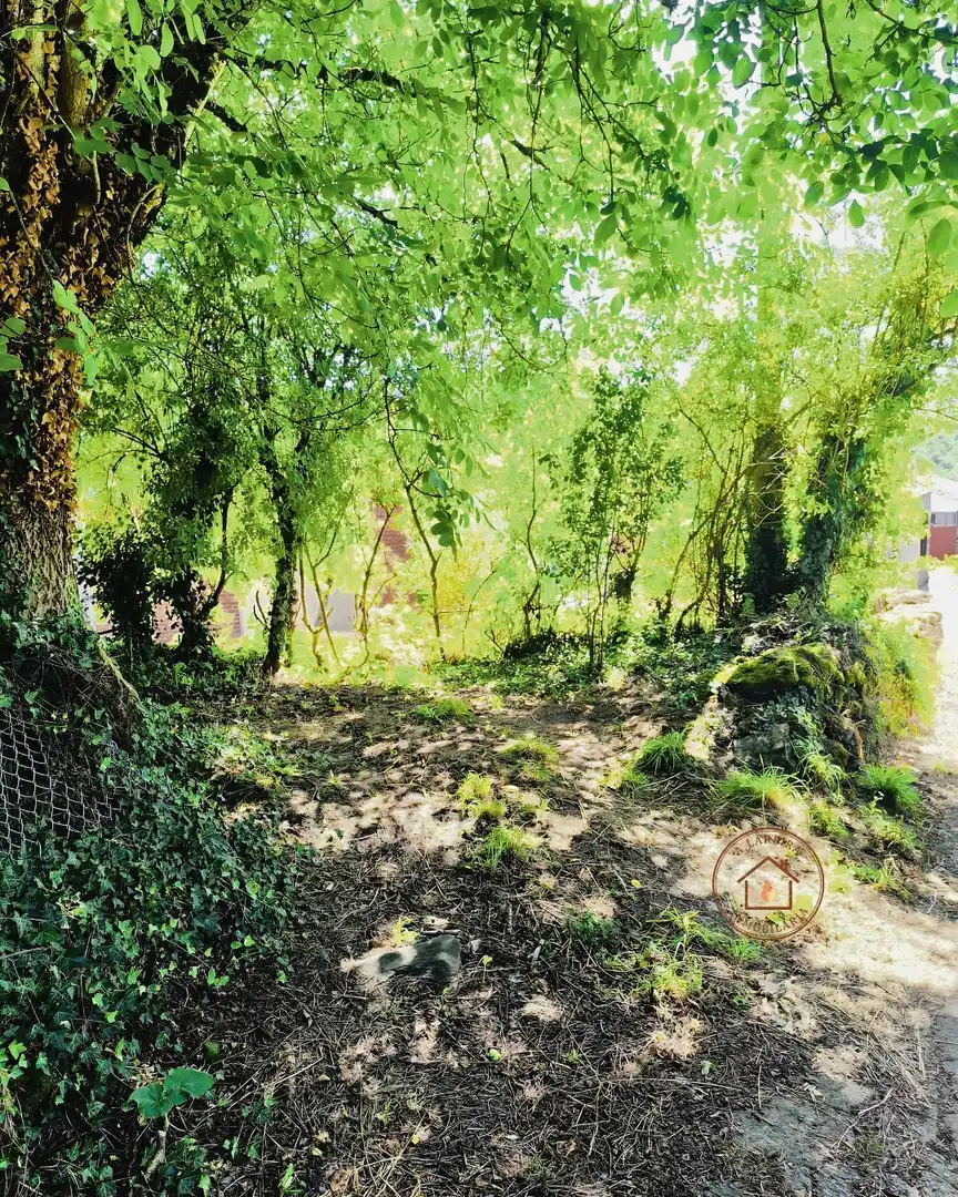 Maison rustique avec jardin à vendre à Lalín, imagen 21