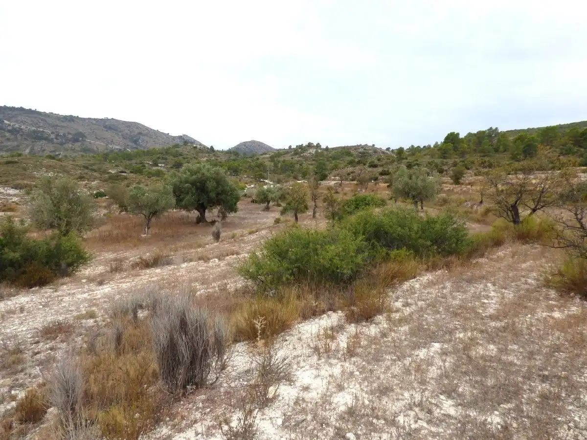 Terrenos y solares en venta en Fosamai, imagen 6