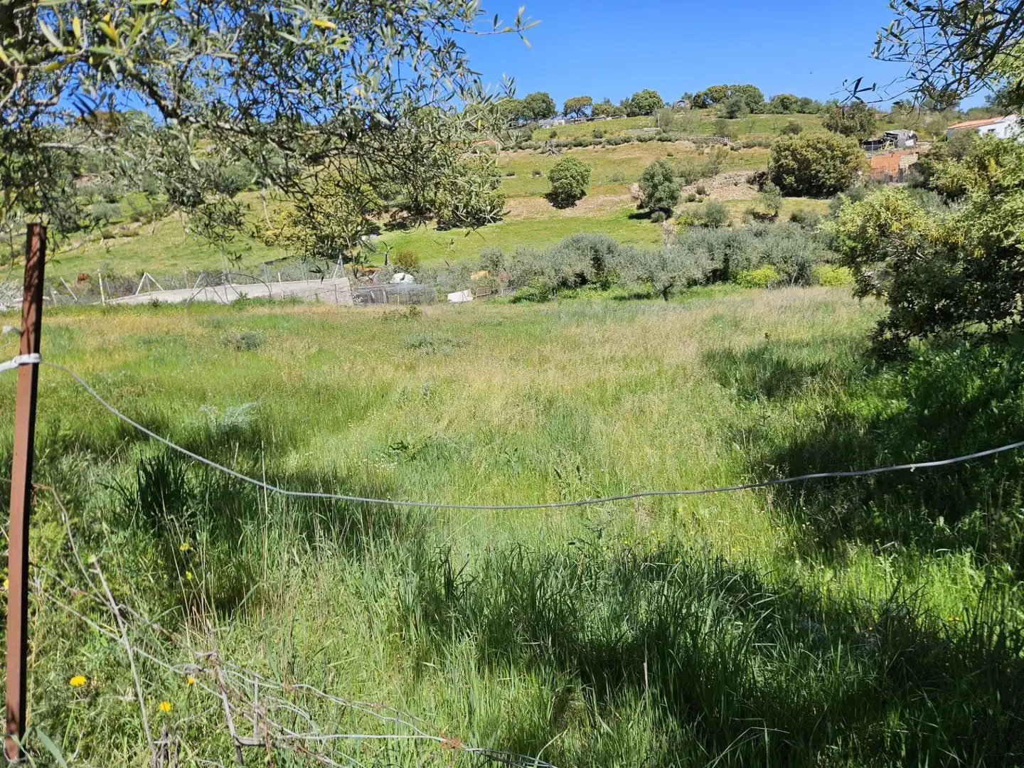 Terreno rústico en venta en Sierra de Fuentes