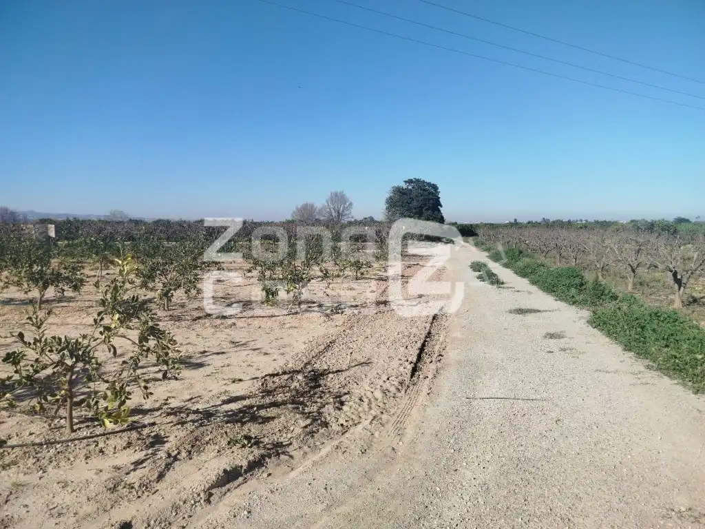 Country house for sale in Algemesí, imagen 3