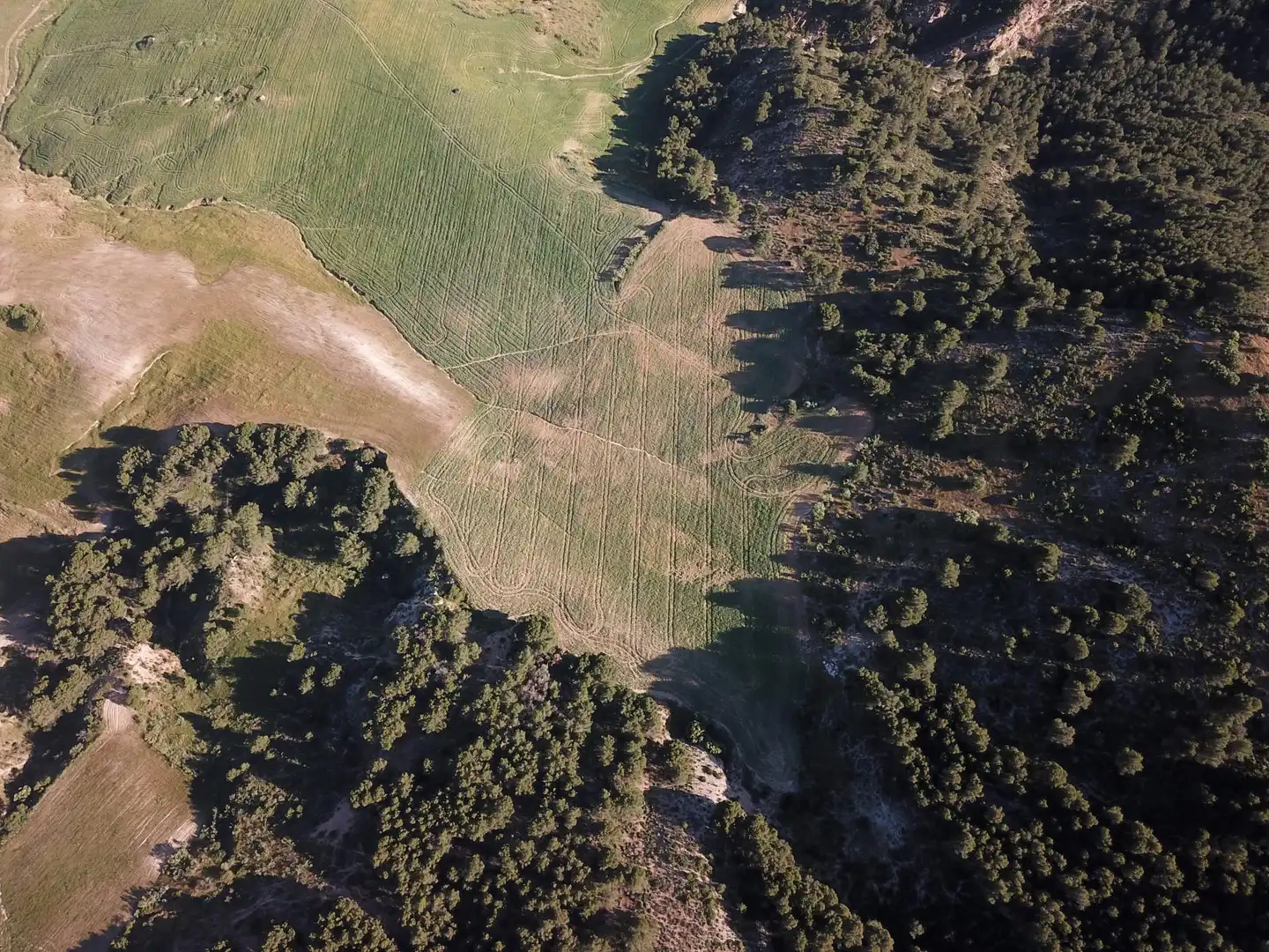 Terreno residenziale in vendita a Ardales, imagen 31