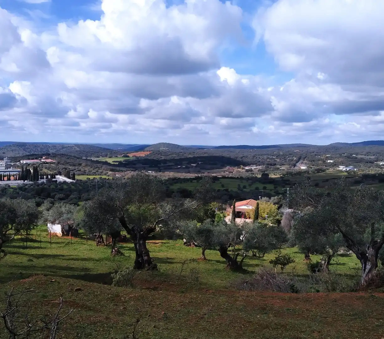 Terreni e lotti in vendita a Jerez de los Caballeros, imagen 12