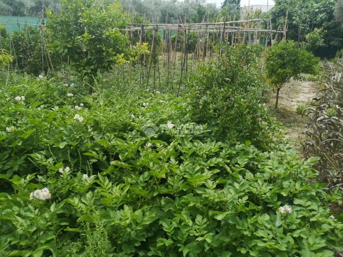 Finca rústica en venda en Lucena amb Jardí privat