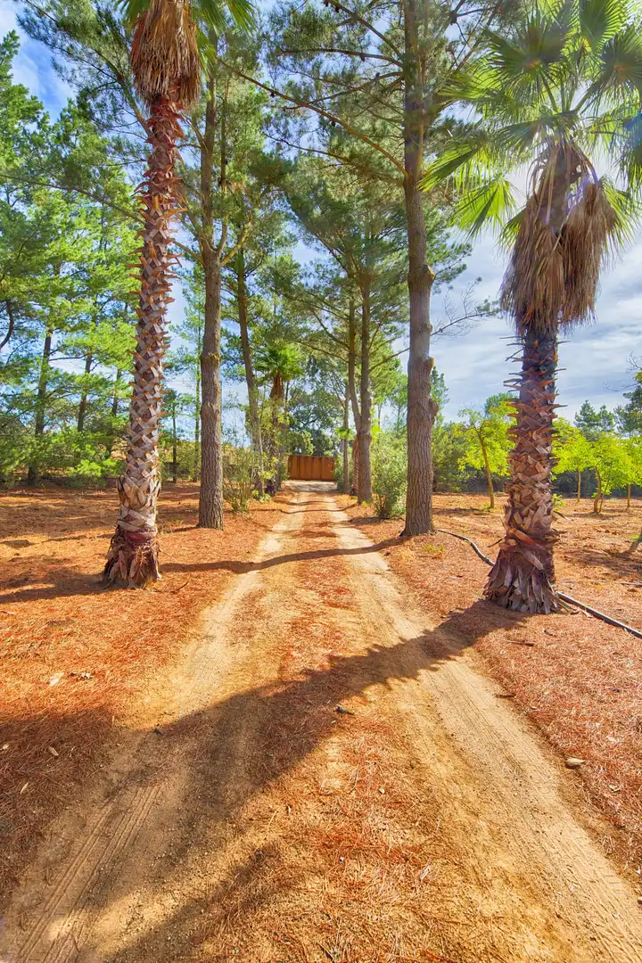 Jardín de Finca rústica en venta en Ronda con Jardín privado, Terraza y Piscina