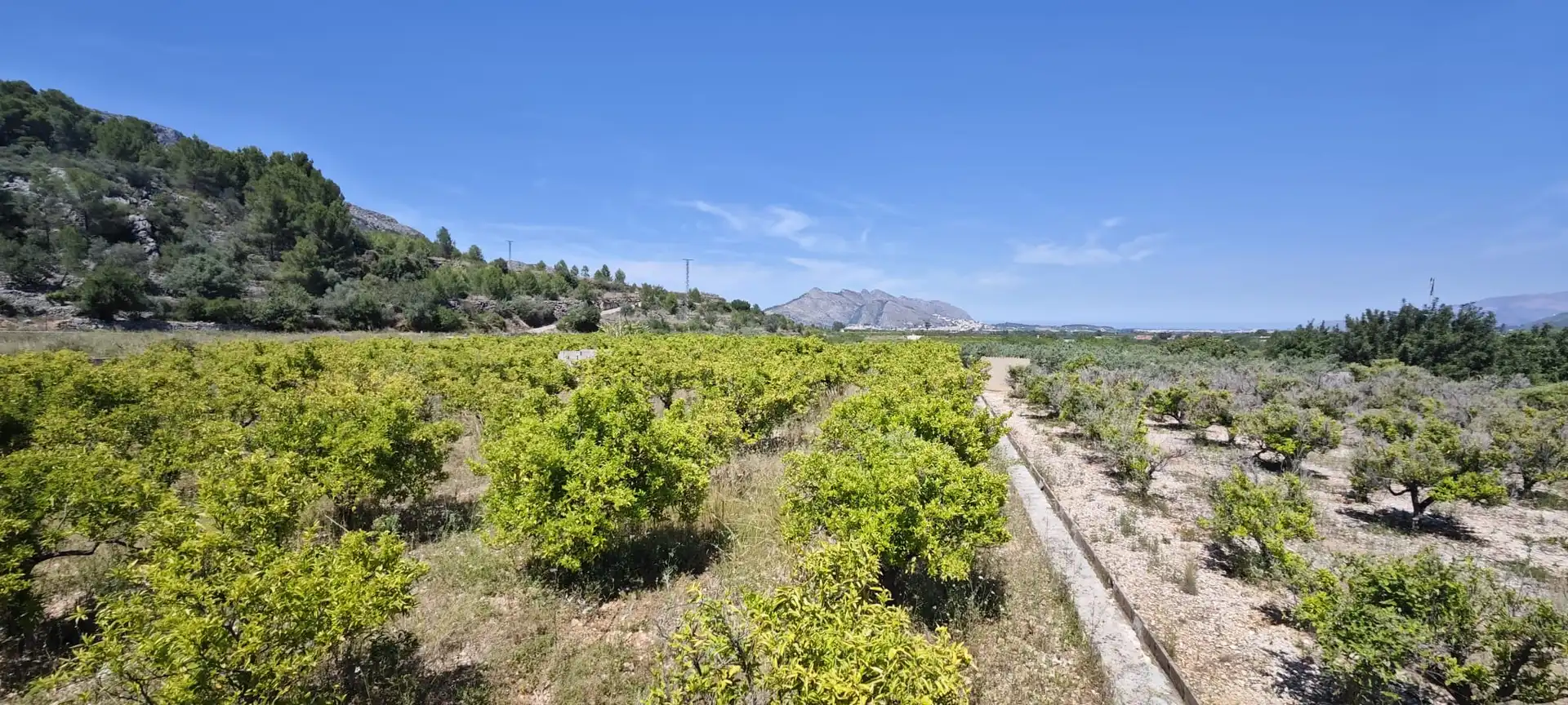 Residential land for sale in Tormos, imagen 27