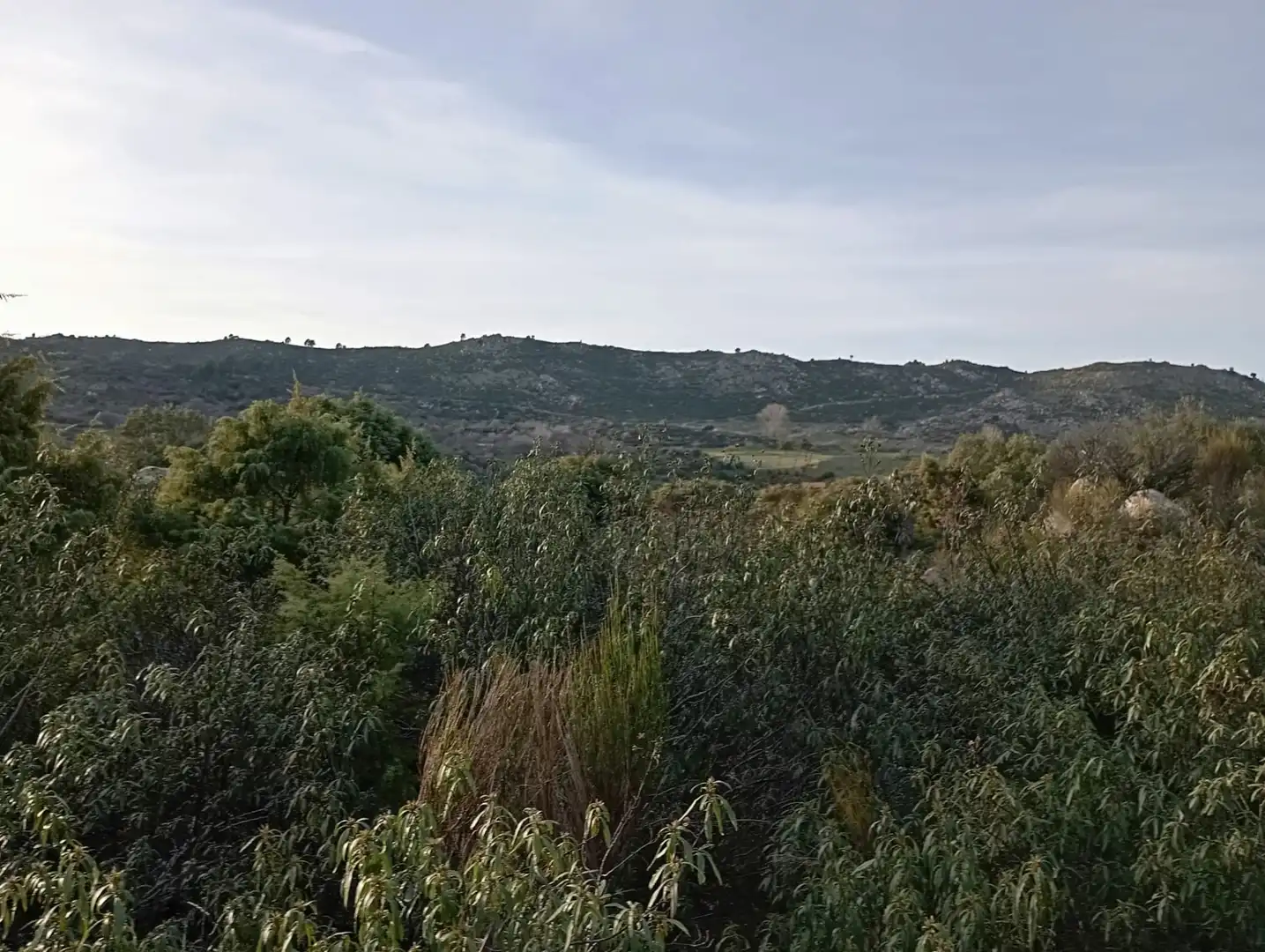 Terreno rustico in vendita a Fresnedillas de la Oliva, imagen 22