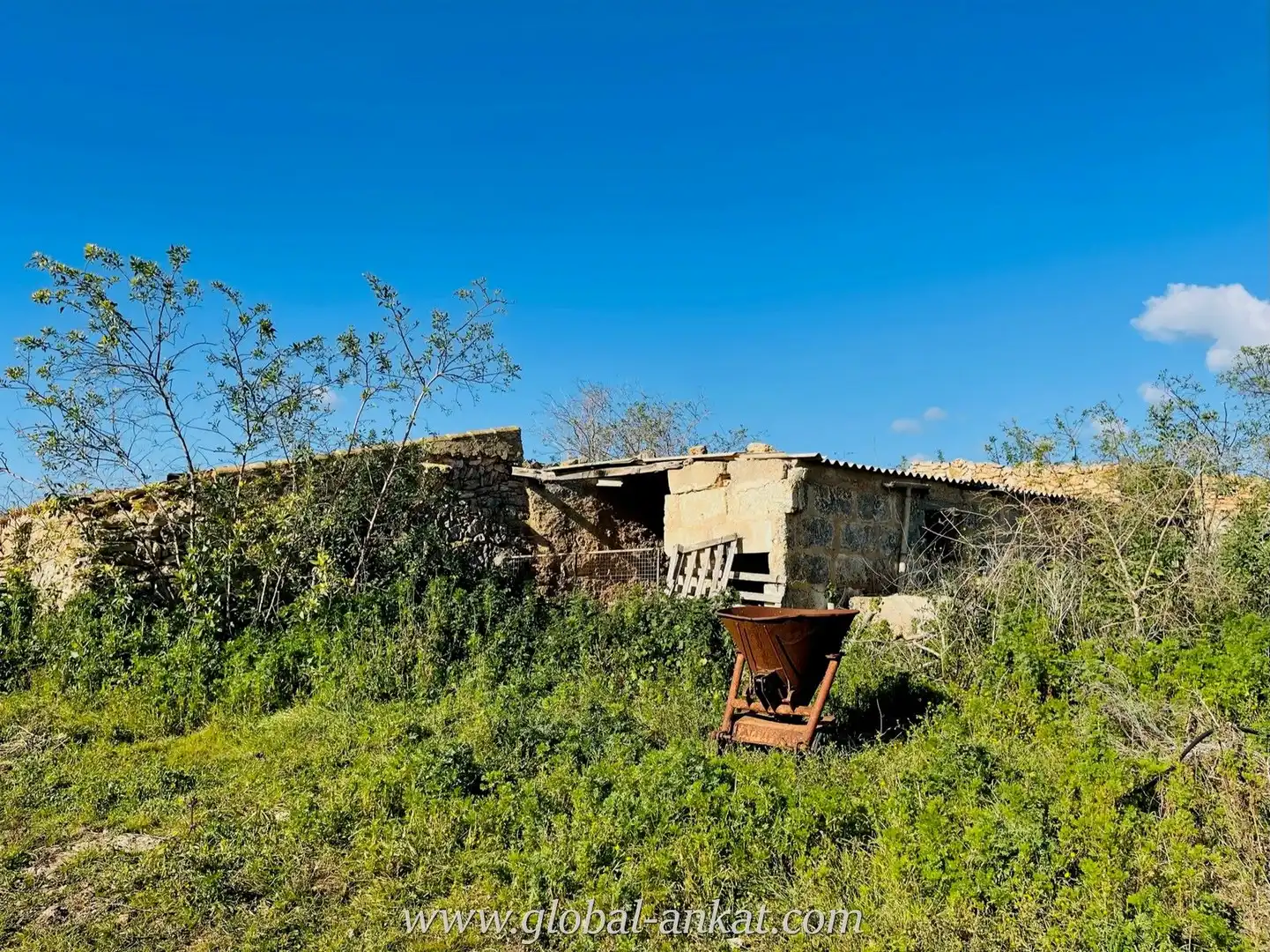 Finca rústica en venta en Manacor