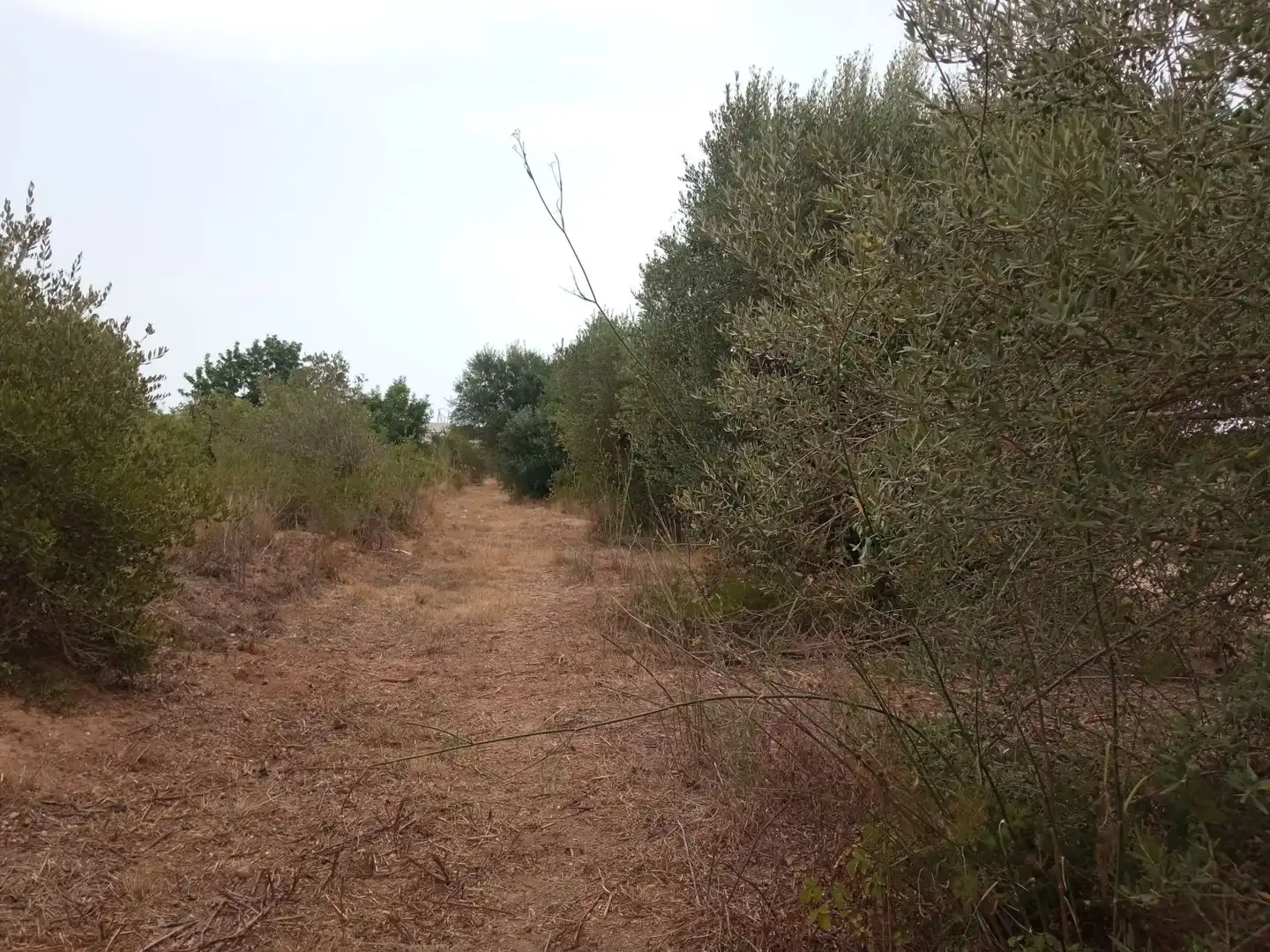 Residencial en venta en Salou