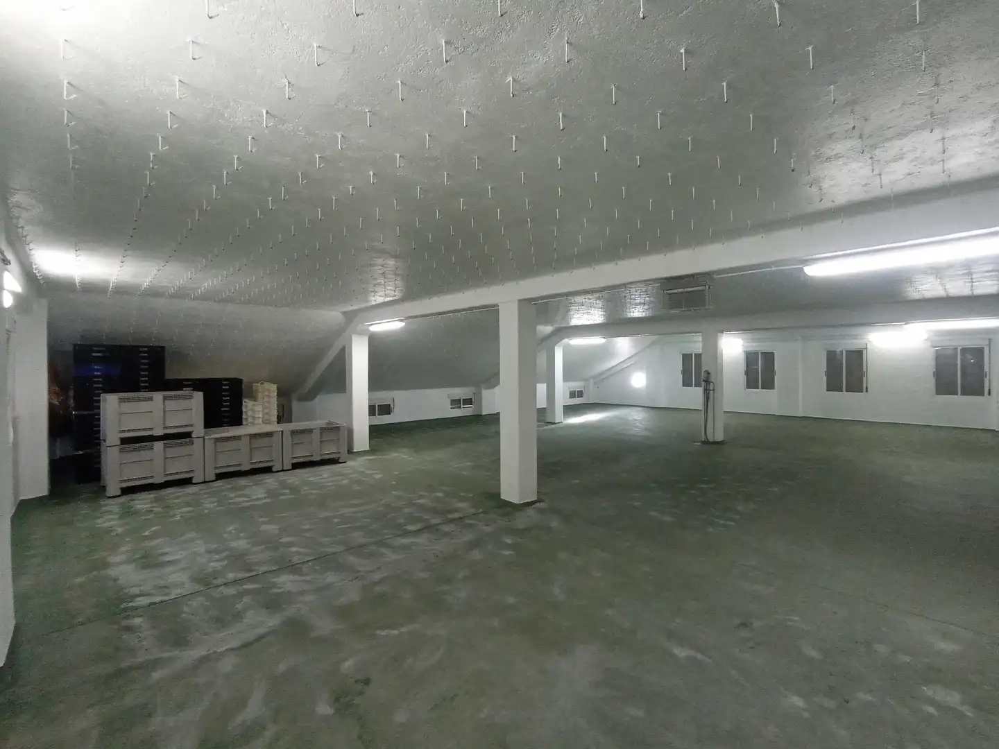 Industrial building with lift for transfer in Ciudad Rodrigo, imagen 13