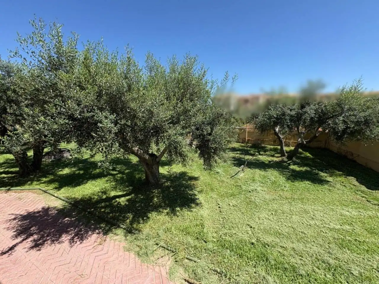 Jardín de Casa o chalet en venta en Torredembarra con Aire acondicionado, Calefacción y Jardín privado