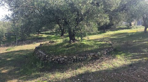 Foto 3 de Finca rústica en venda a Nord, La Ràpita