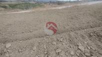 Finca rústica en venda en Alhaurín de la Torre